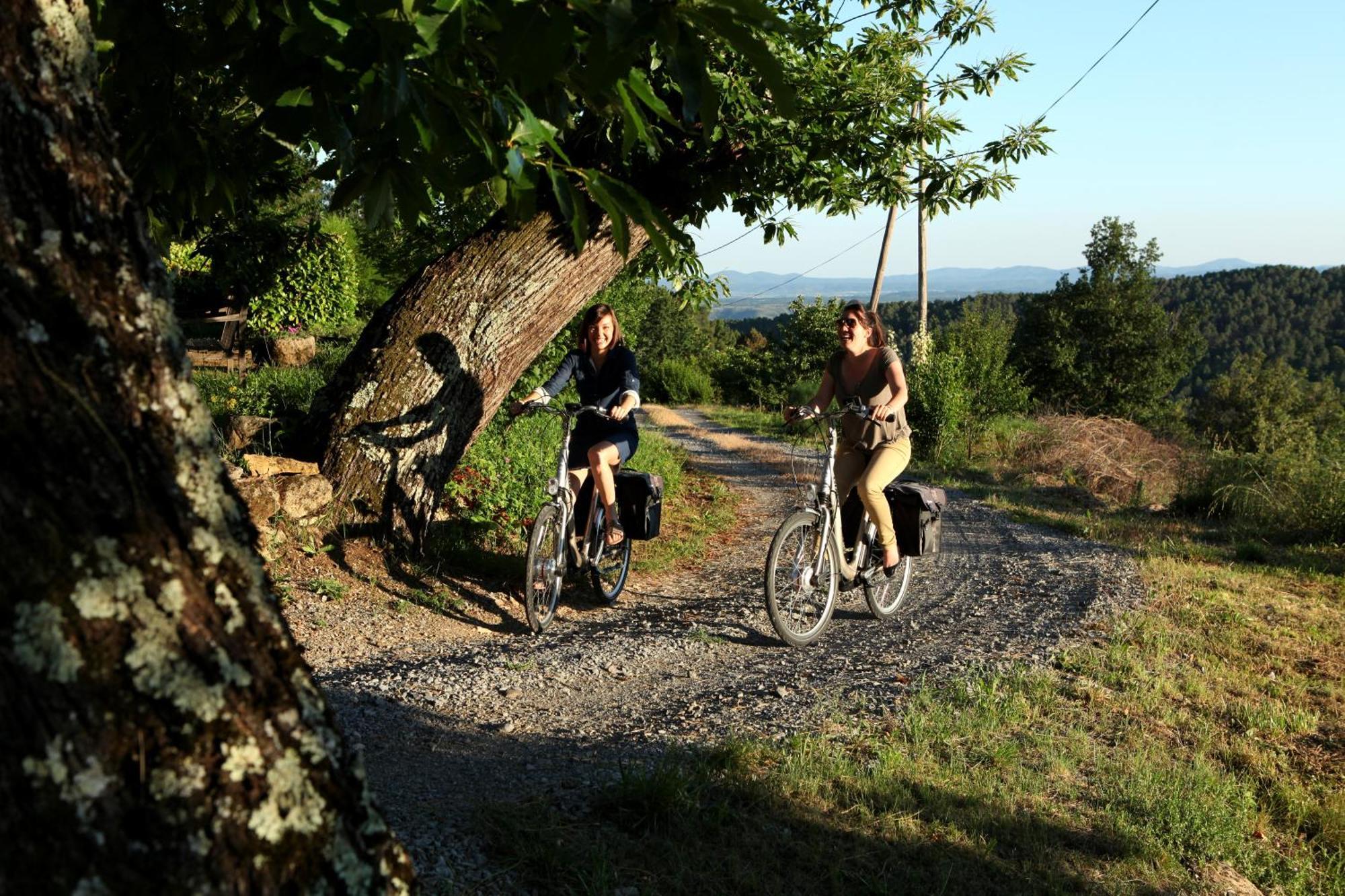 Auberge De La Tour De Brison Sanilhac  Esterno foto
